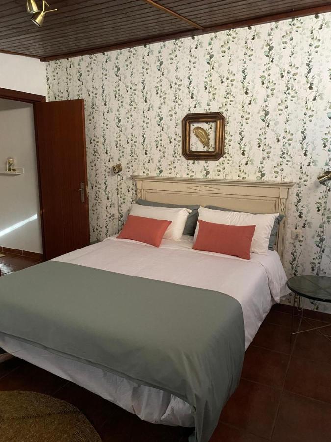 Old Town House La Laguna La Laguna  Bagian luar foto